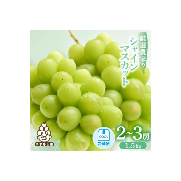 【2026年発送】シャインマスカット　2～3房 1.5kg