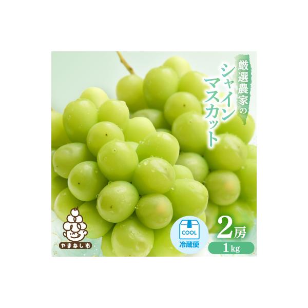 【2026年発送】シャインマスカット　2房 1kg