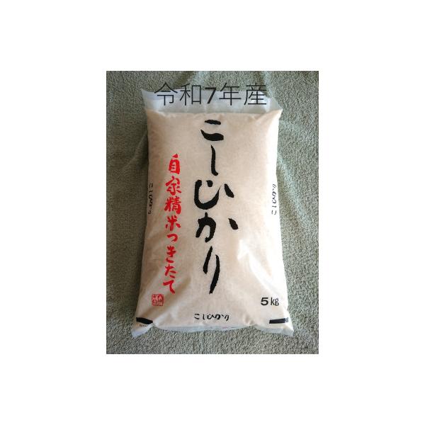 厳選　茨城県産コシヒカリ　精米5kg