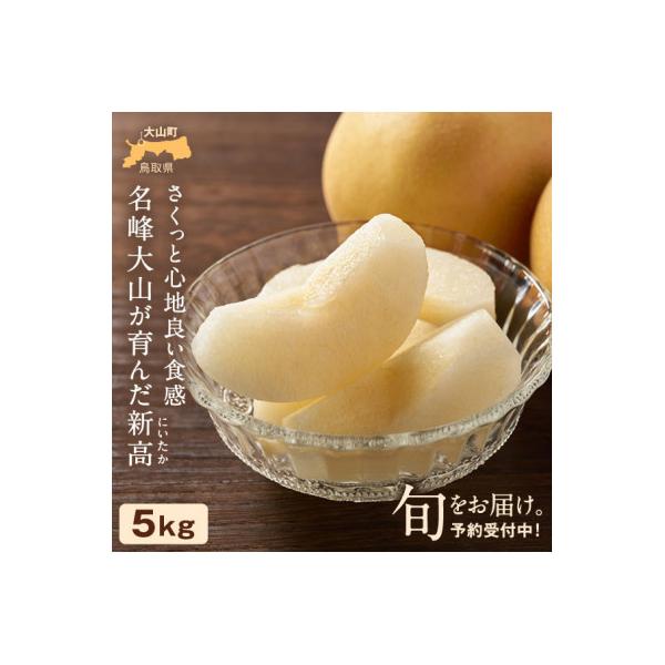 鳥取県産和ナシ　新高梨5kg