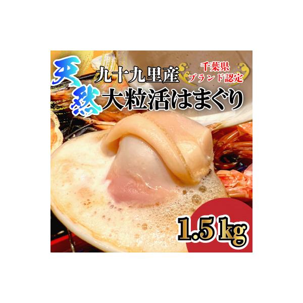 天然大粒活はまぐり1.5kg|千葉県九十九里産