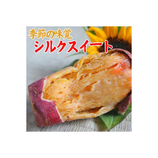 スイーツ感覚の『シルクスイート』1kg(3～5本)栽培期間中、農薬・化学肥料不使用