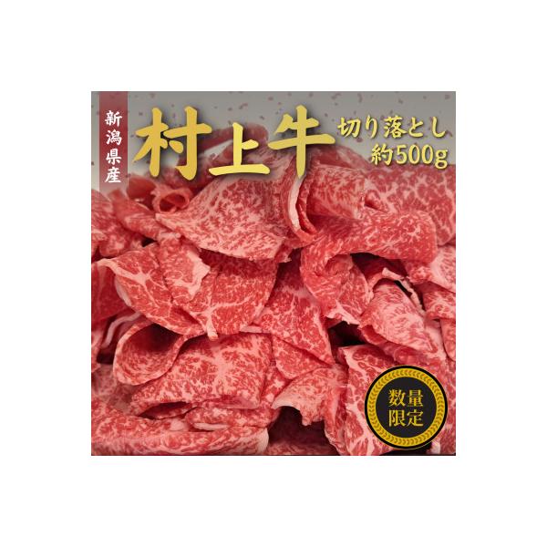 【数量限定】【訳あり】簡易包装 村上牛切り落とし500g 1031010