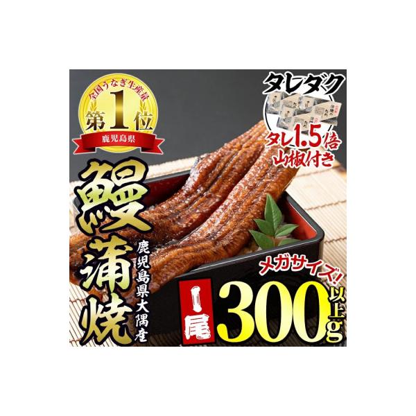 東串良町のうなぎ蒲焼(無頭) 【メガサイズ】 1尾・300g以上 タレ山椒×3個【0104312a】