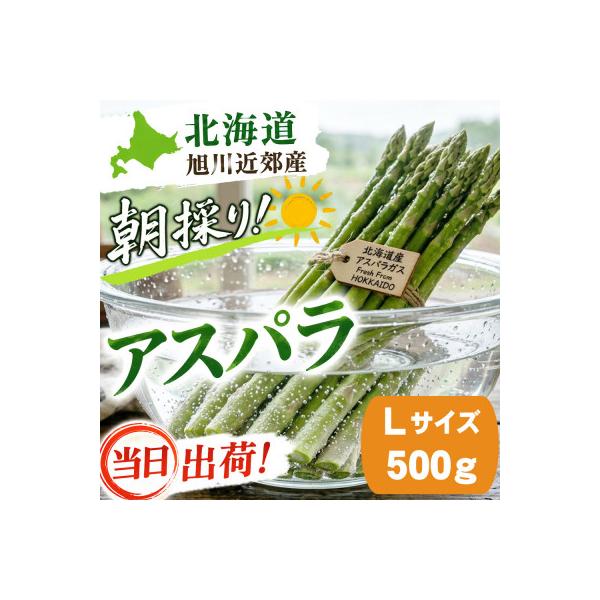 2026年産【Lサイズ】【朝採り当日発送!瑞々しく甘い!】北海道産アスパラ500g_04750