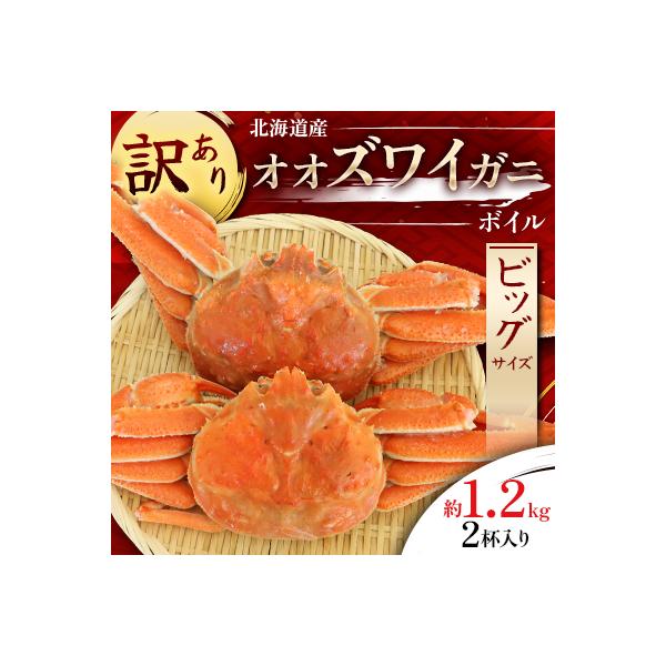 【訳あり】オオズワイガニ ボイル ビッグサイズ  2杯 合計約1.2kg