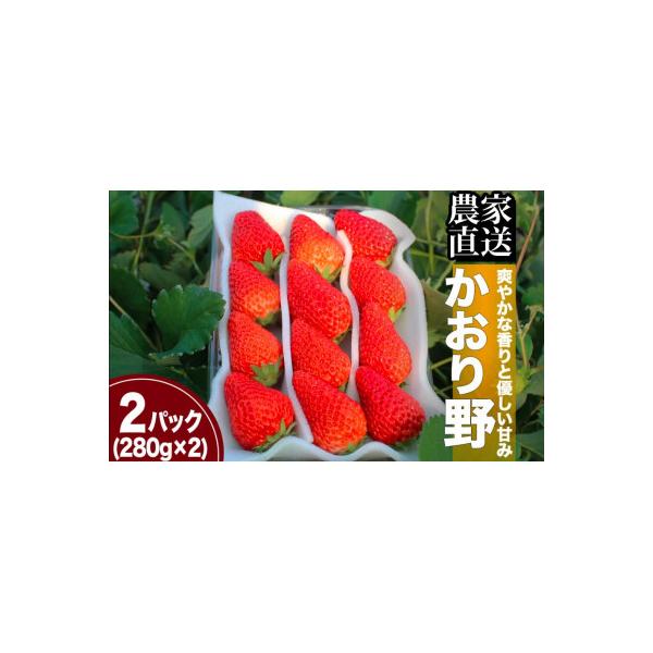 完熟いちご280g×2パック(DXパック)　かおり野
