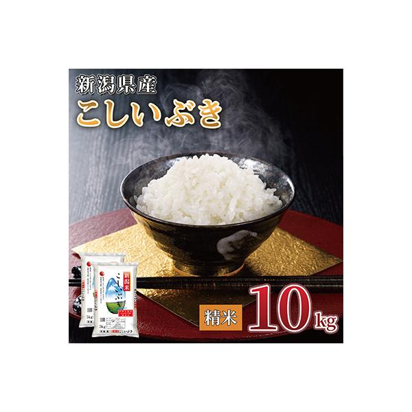 【令和7年産 】新潟県産 こしいぶき 10kg(5kg×2袋) 精米 新潟 の美味しい お米
