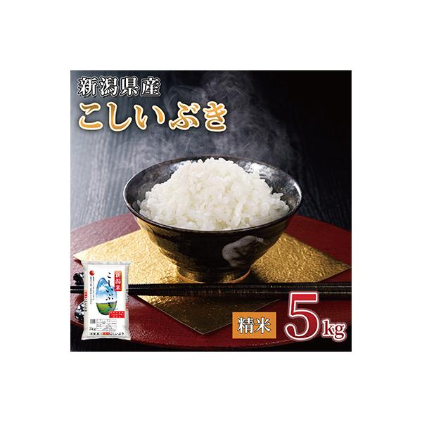 【令和7年産 】新潟県産 こしいぶき 5kg 精米 新潟 の美味しい お米