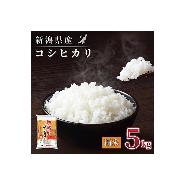 【令和7年産 】新潟県産 コシヒカリ 5kg 精米 新潟 の美味しい お米