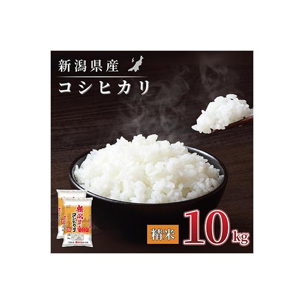 【令和7年産 】新潟県産 コシヒカリ 10kg(5kg×2袋) 精米 新潟 の美味しい お米