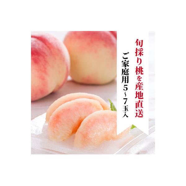 ■お礼品詳細　・配送種別：冷蔵便　・提供元：きよとうファーム株式会社（津山市）■お申し込み・配送・その他　・発送時期：2026-07-05〜2026-10-14(お届け時間帯指定可)　・申込受付期間：〜2026-09-20　・配達外のエリア...