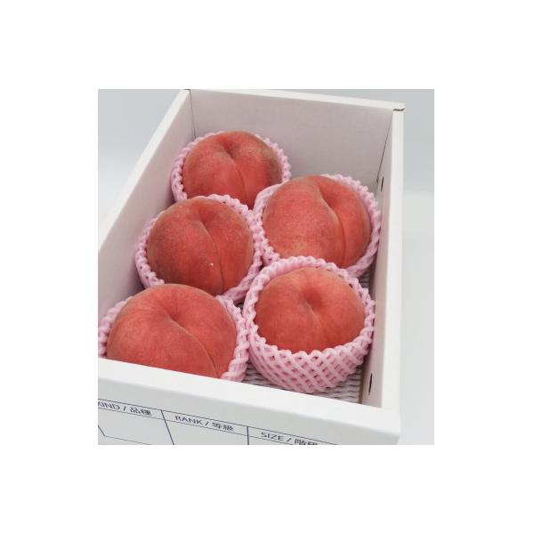 ■お礼品詳細　・配送種別：冷蔵便　・提供元：新庄青果■お申し込み・配送・その他　・発送時期：2026-08-01〜2026-08-31(お届け時間帯指定可)　・申込受付期間：〜2026-08-15　・配達外のエリア：離島　・寄付証明書の送付...