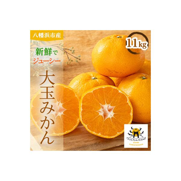 愛媛県八幡浜市産大玉みかん11kg【C56-59】