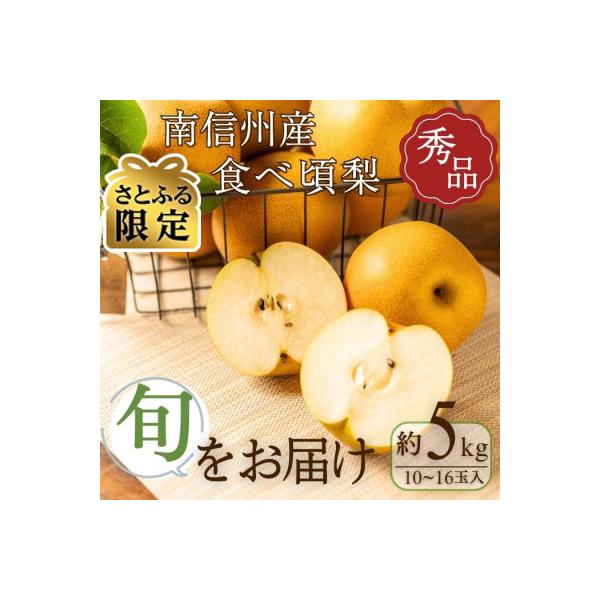 ■お礼品詳細　・配送種別：通常　・提供元：ＪＡみなみ信州　ＤＭセンター（豊丘村）■お申し込み・配送・その他　・発送時期：2026-08-17〜2026-10-12(お届け時間帯指定可)　・申込受付期間：2025-10-27〜2026-10-...