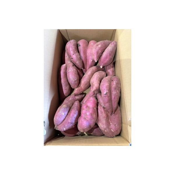 【訳あり】「行方かんしょ」さつまいも約5kg・C品(洗い・不揃い)