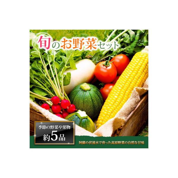 季節のお野菜セットM 旬のお野菜の中から約5品を厳選してお届け
