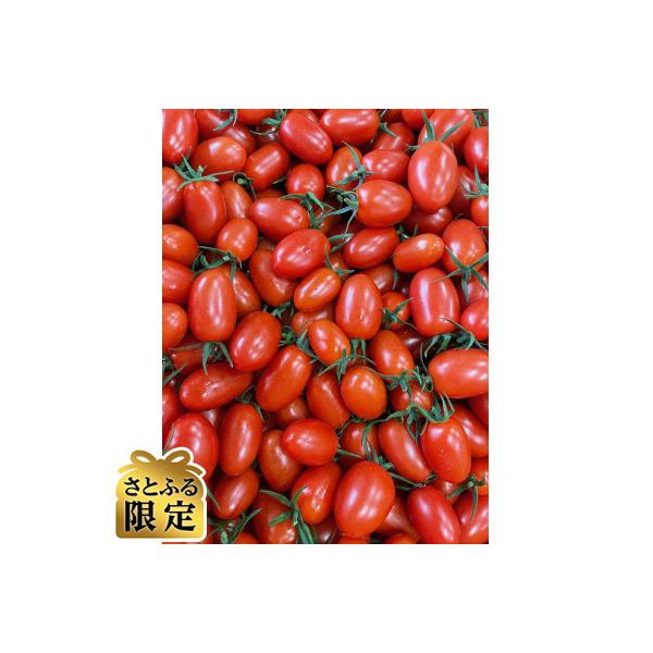 【さとふる限定】熊本県産アイコトマト1.2kg