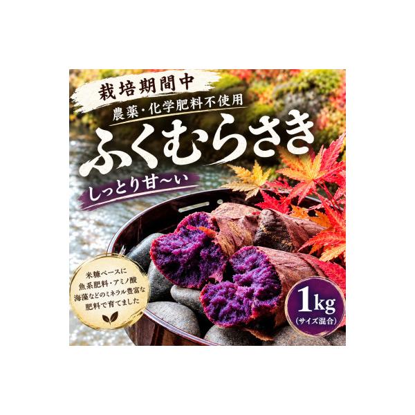 栽培期間中、農薬・化学肥料不使用　しっとり甘～い『ふくむらさき』1kg(サイズ混合)