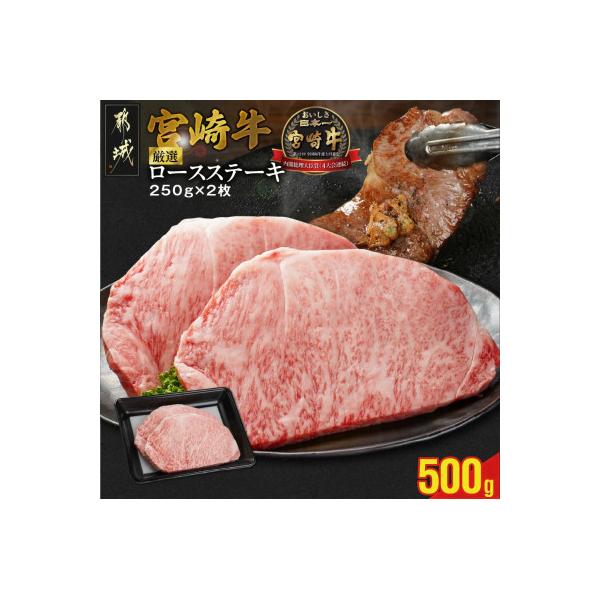 宮崎牛ロースステーキ 2枚 【計500g】(都城市)