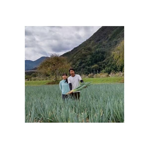 ■お礼品詳細　・配送種別：通常　・提供元：Ｆ．ｓｍｉｌｅ■お申し込み・配送・その他　・発送時期：〜2026-03-02(お届け時間帯指定可)　・申込受付期間：2025-12-05〜2026-02-25　・配達外のエリア：離島、北海道、沖縄県...