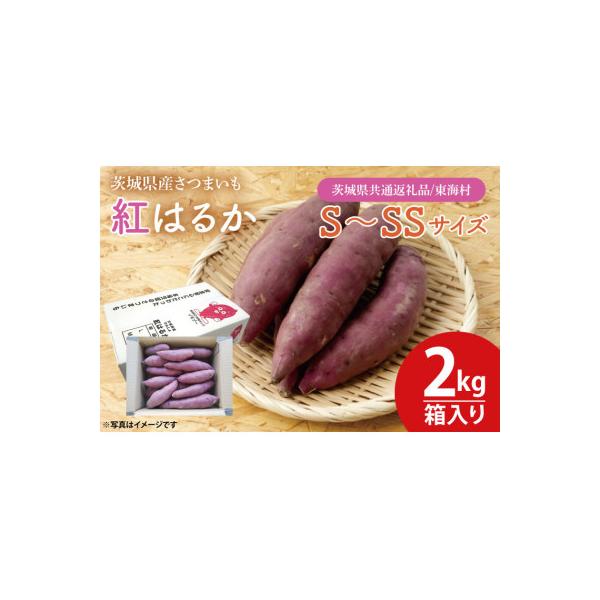 紅はるか　さつまいも　S～SSサイズ2kg箱【茨城県共通返礼品/東海村】