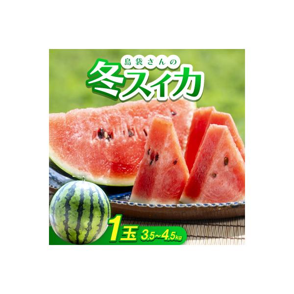 ■お礼品詳細　・配送種別：通常　・提供元：島袋　成一■お申し込み・配送・その他　・発送時期：2026-02-20〜2026-03-20(お届け時間帯指定可)　・申込受付期間：〜2026-02-28　・配達外のエリア：離島　・寄付証明書の送付...