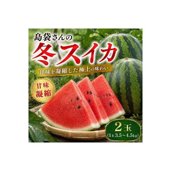 【2027年2月中旬から順次発送】島袋さんの冬スイカ 2玉(1玉3.5～4.5kg)
