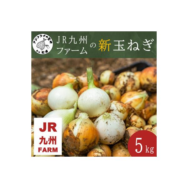 ■お礼品詳細　・配送種別：通常　・提供元：まつうらよかとこサポート（ＪＲ九州ファーム）■お申し込み・配送・その他　・発送時期：2025-11-03〜2026-01-16(お届け時間帯指定可)　・申込受付期間：〜2025-12-31　・配達外...