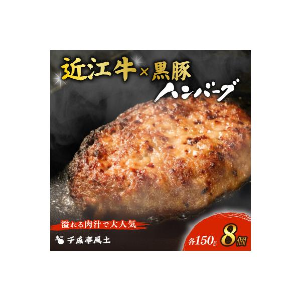 千成亭 近江牛と黒豚のハンバーグ8個 ソース付き