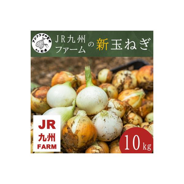 ■お礼品詳細　・配送種別：通常　・提供元：まつうらよかとこサポート（ＪＲ九州ファーム）■お申し込み・配送・その他　・発送時期：2025-11-03〜2026-01-16(お届け時間帯指定可)　・申込受付期間：〜2025-12-31　・配達外...