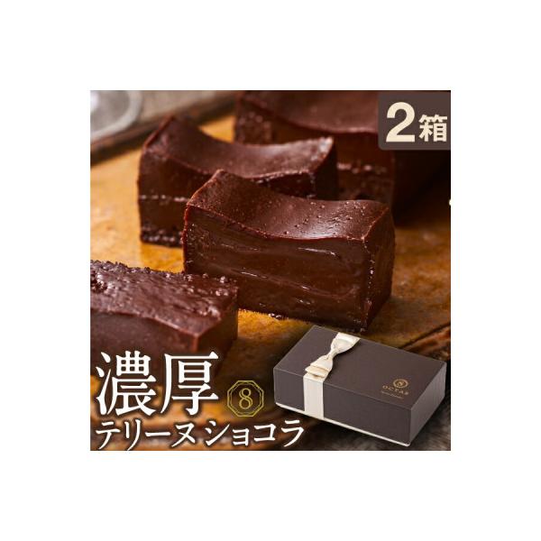 オクタス テリーヌショコラ 2箱　2027(鹿屋市)