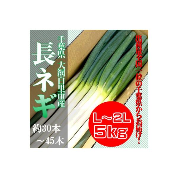 ■お礼品詳細　・配送種別：通常　・提供元：フタバロジック■お申し込み・配送・その他　・発送時期：2025-12-01〜2026-02-28(お届け時間帯指定可)　・申込受付期間：〜2026-02-20　・配達外のエリア：離島、沖縄県　・寄付...