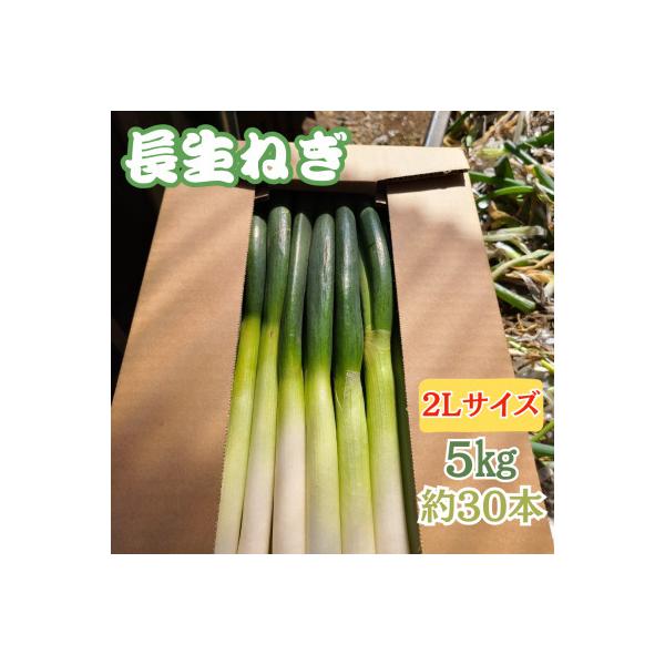 ■お礼品詳細　・配送種別：通常　・提供元：蒔田雄也■お申し込み・配送・その他　・発送時期：2025-12-01〜2026-03-31(お届け時間帯指定可)　・申込受付期間：〜2026-03-20　・配達外のエリア：　・寄付証明書の送付時期目...