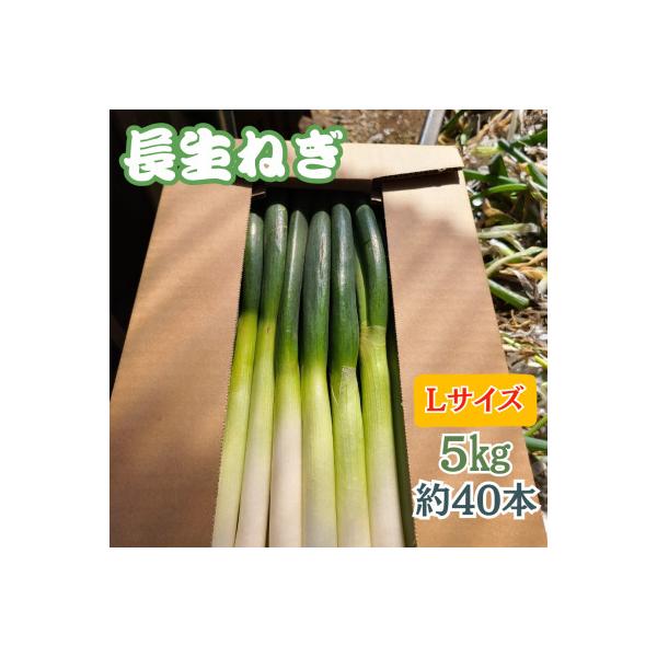 ■お礼品詳細　・配送種別：通常　・提供元：蒔田雄也■お申し込み・配送・その他　・発送時期：2025-12-01〜2026-03-31(お届け時間帯指定可)　・申込受付期間：〜2026-03-20　・配達外のエリア：　・寄付証明書の送付時期目...