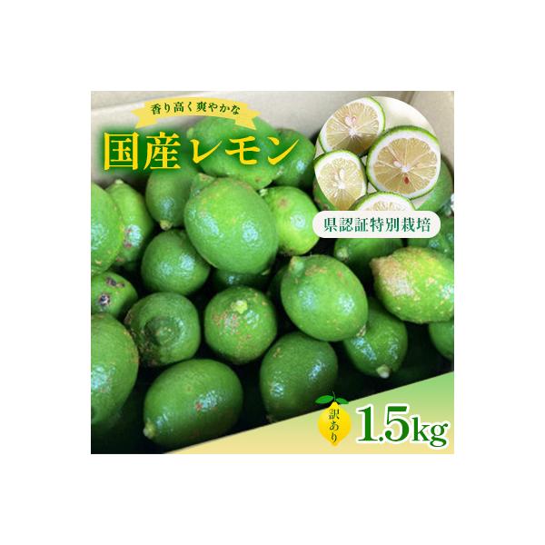 国産レモン 訳あり1.5kg(県認証特別栽培)