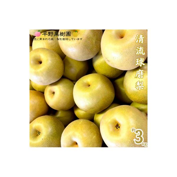 【先行予約!2026年8月初旬～発送】 錦の梨 清流錦 梨 約3kg 【平野果樹園】