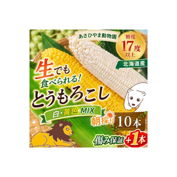 2026年先行受付【高糖度!まるでフルーツ】北海道産とうもろこし食べ比べ10本(各5本)_02157