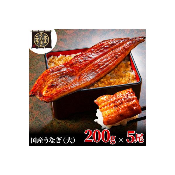 大五のうなぎ蒲焼　1kg(200g×5尾)　国産うなぎ(大サイズ)