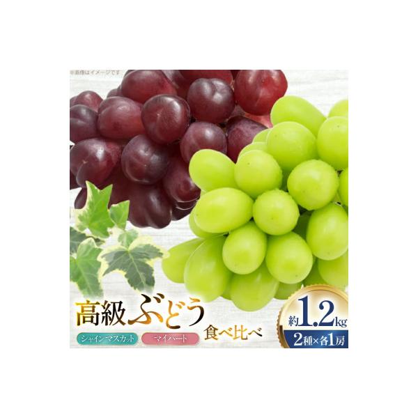 【先行予約】令和8年産高級ぶどう(シャインマスカット・マイハート)詰め合わせ2房計約1.2kg