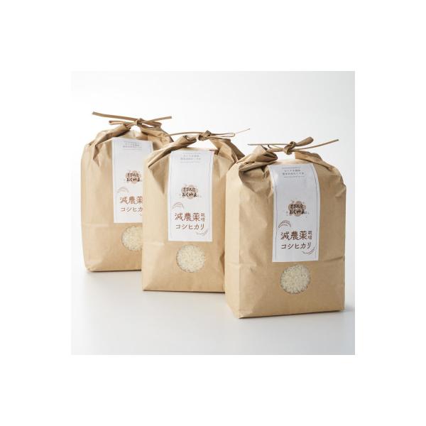 R7年産 濃厚な甘み! 岩船産コシヒカリ 精米6kg(2kg×3袋)[農家民宿おくやま]