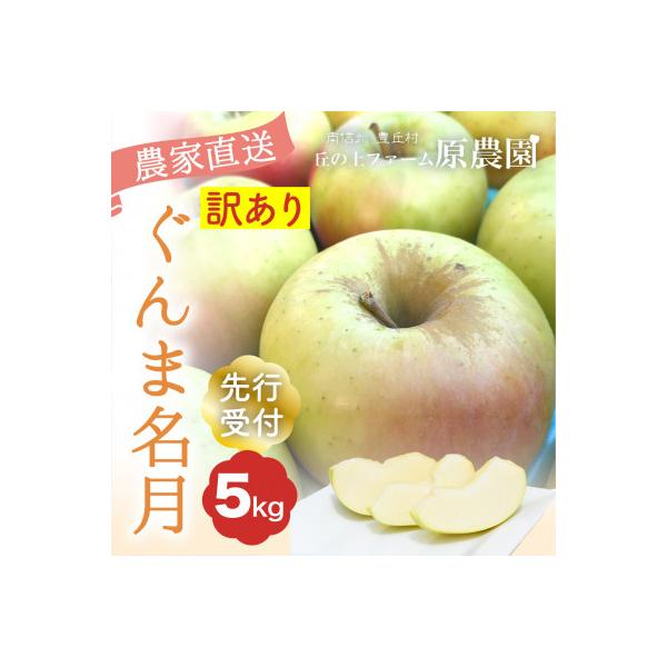 【丘の上ファーム】りんご「ぐんま名月」訳あり5kg(11-20玉)　2026年10月より発送