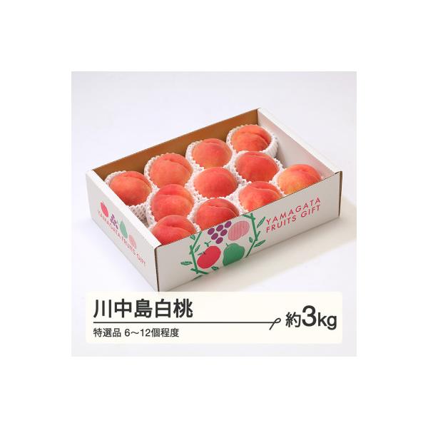 ■お礼品詳細　・配送種別：冷蔵便　・提供元：ＪＡＴＦ■お申し込み・配送・その他　・発送時期：2026-08-20〜2026-09-15(お届け時間帯指定可)　・申込受付期間：〜2026-07-31　・配達外のエリア：離島、沖縄県　・寄付証明...