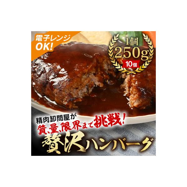 【250g×10個】精肉卸問屋が自信をもってお届けする贅沢ハンバーグ(デミグラスソース)・T098