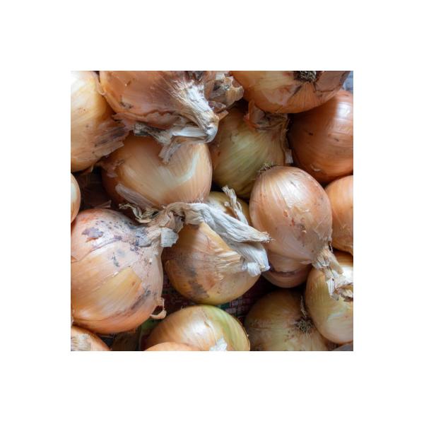 ■お礼品詳細　・配送種別：通常　・提供元：（株）五色青果（高松市）■お申し込み・配送・その他　・発送時期：2026-05-08〜2026-06-20　・申込受付期間：〜2026-05-10　・配達外のエリア：　・寄付証明書の送付時期目安：申...