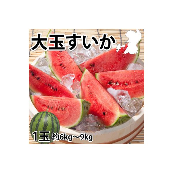 大玉すいか 秀品 1玉(約6kg～9kg)【2026年5月下旬より順次発送予定】(菊池市)