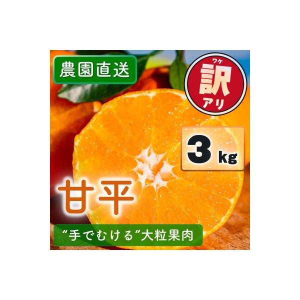 【2027年2月上旬以降発送】 訳あり 農園直送 甘平(かんぺい) 3.0kg 愛媛県限定栽培柑橘