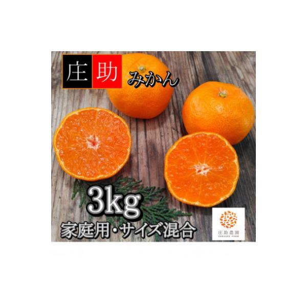 〈先行受付〉有田・庄助みかん約3kg(家庭用品・サイズ混合)