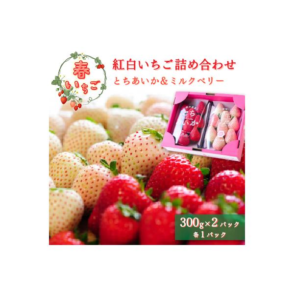 【春いちご】紅白いちご(とちあいか、ミルキーベリー)詰め合わせ(300g×1パックずつ)