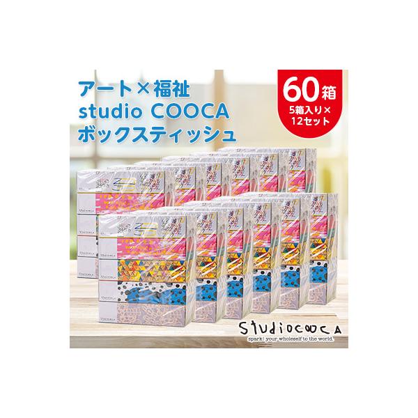アートパッケージボックスティッシュ60箱【5箱入り×12セット】【1箱150組(300枚)】